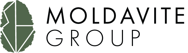 Moldavite Group Logo